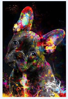Color Pop Frenchie Poster - Uniquelet
