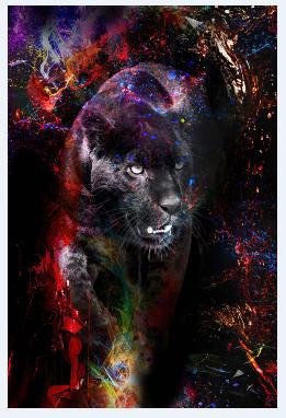 Cosmic Panther Shadow Poster - Uniquelet